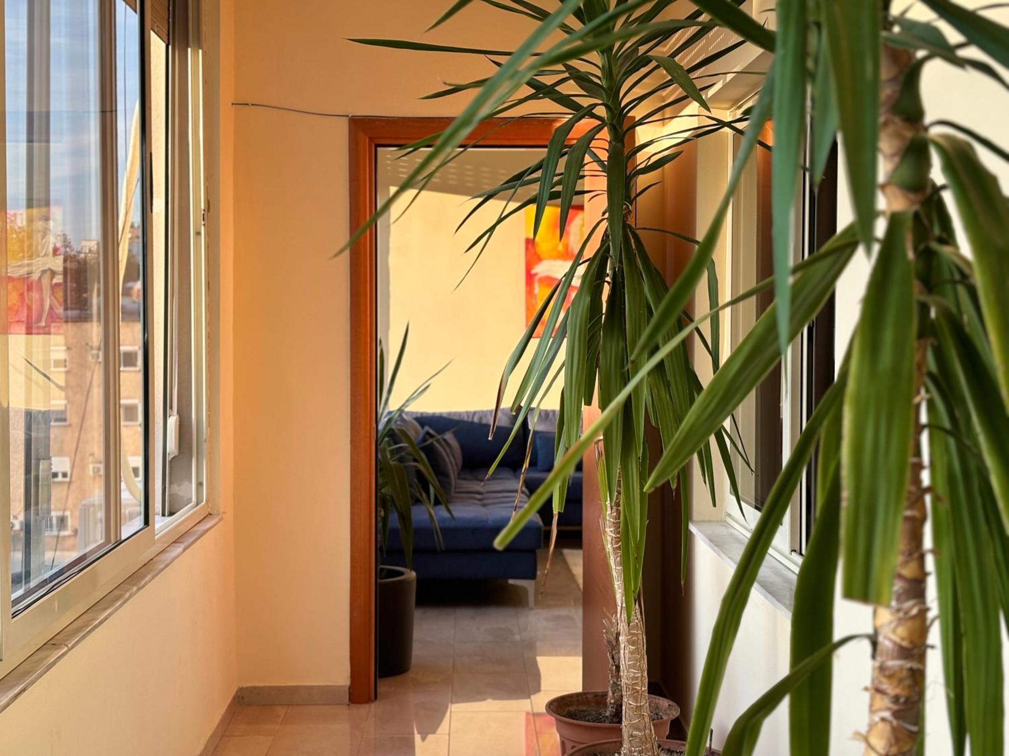 Tam 2Bdr Center Taiwan Apartment Tirana Exteriör bild
