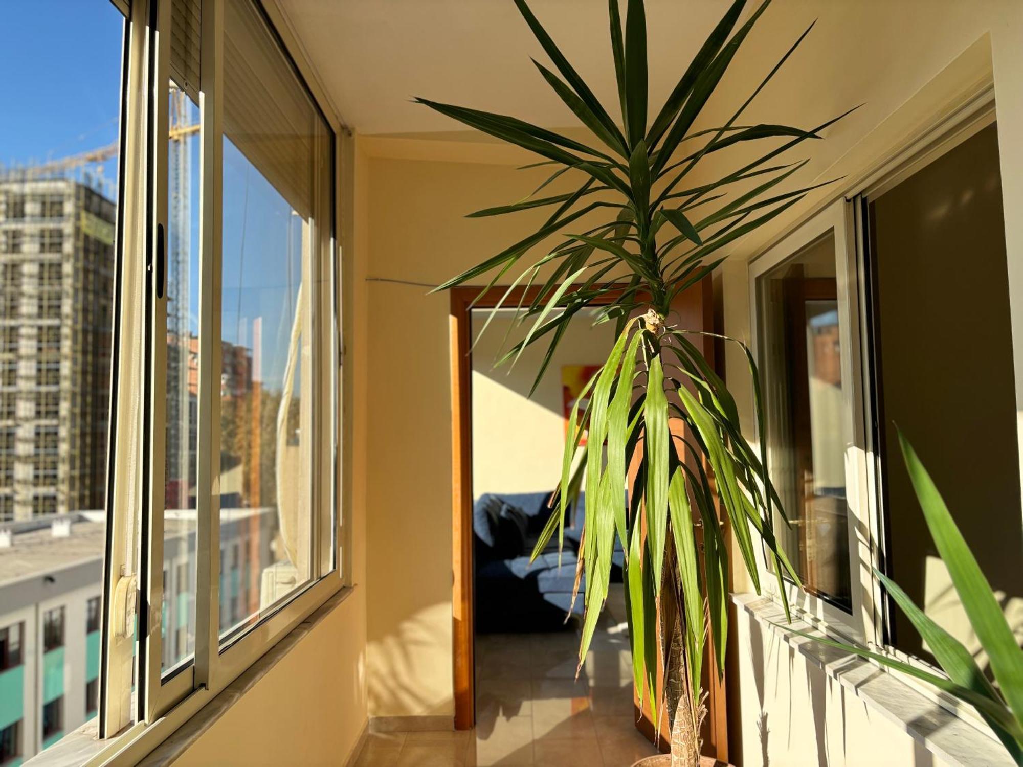 Tam 2Bdr Center Taiwan Apartment Tirana Exteriör bild